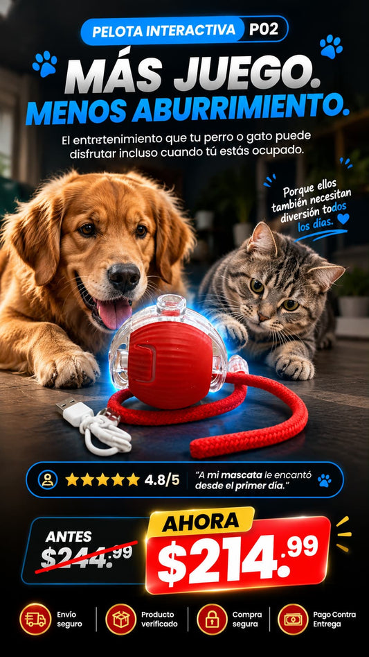PELOTA INTERACTIVA